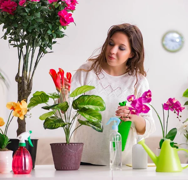 Jonge vrouw op zoek naar planten thuis — Stockfoto