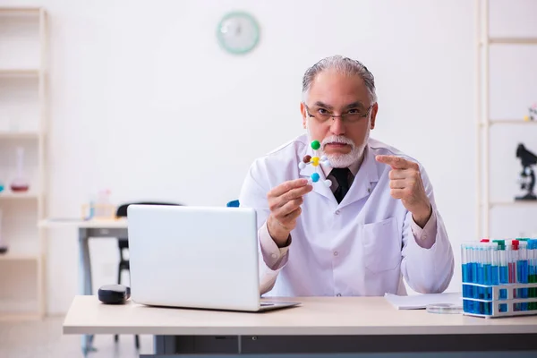 Viejo científico masculino estudiando modelo molecular —  Fotos de Stock