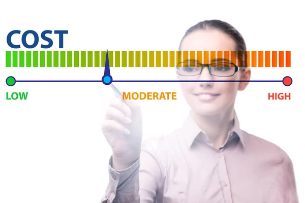 Podnikatelka v konceptu řízení nákladů — Stock fotografie