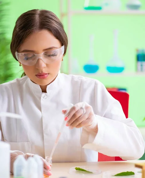 Vacker kvinnlig bioteknik vetenskapsman kemist arbetar i lab — Stockfoto
