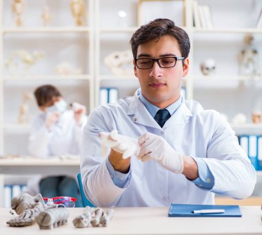 Profesör laboratuvarda insan iskeletini inceliyor.