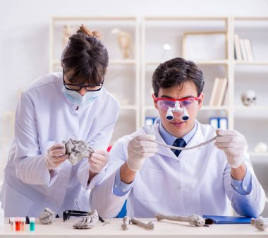 Profesör laboratuvarda insan iskeletini inceliyor.