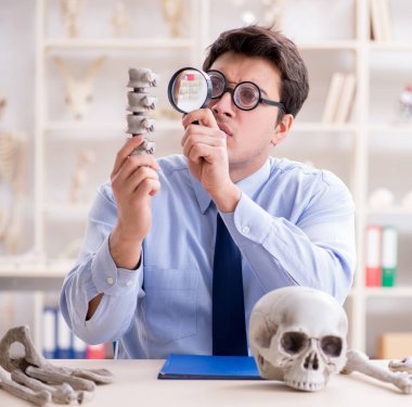 Komik çılgın profesör insan iskeletini inceliyor.