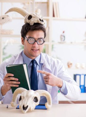 Komik çılgın profesör hayvan iskeletlerini inceliyor.