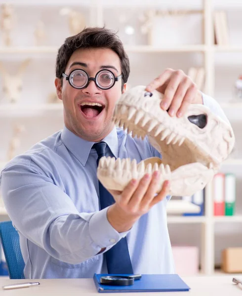 Grappige gekke professor bestudeert dinosaurus skelet — Stockfoto