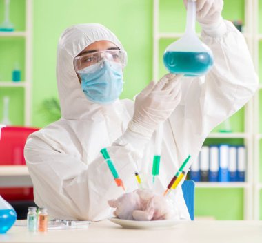 Laboratuvar asistanı GDO tavuğunu test ediyor