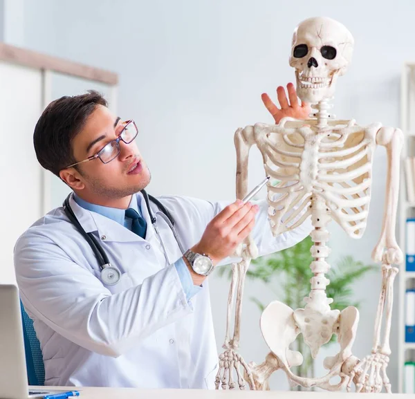 Yong male doctor with skeleton isolated on white — Stock Photo, Image