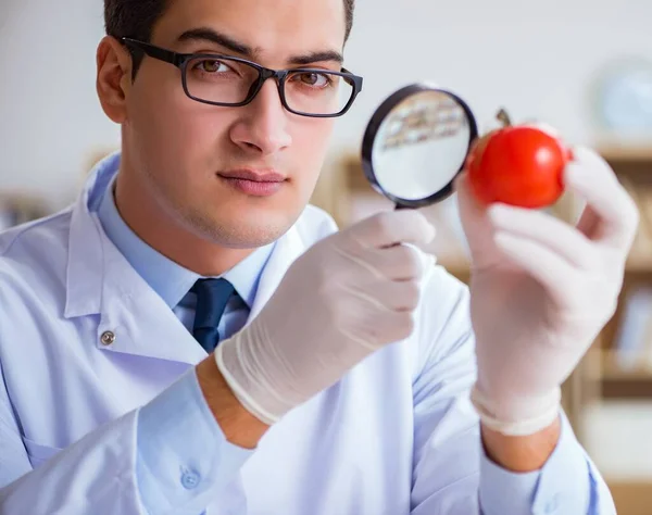 Científico trabajando en frutas y verduras orgánicas — Foto de Stock