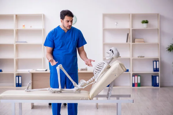 Молодий лікар вивчає хворого на скелет — стокове фото