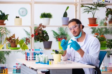 Laboratuvarda çalışan genç erkek kimyager parfümcüsü.