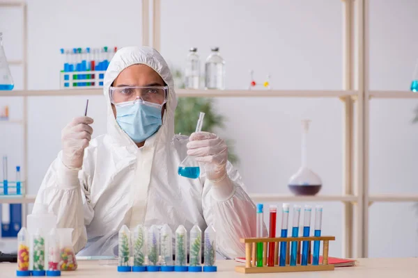 Jonge mannelijke chemicus werkt in het lab tijdens een pandemie — Stockfoto