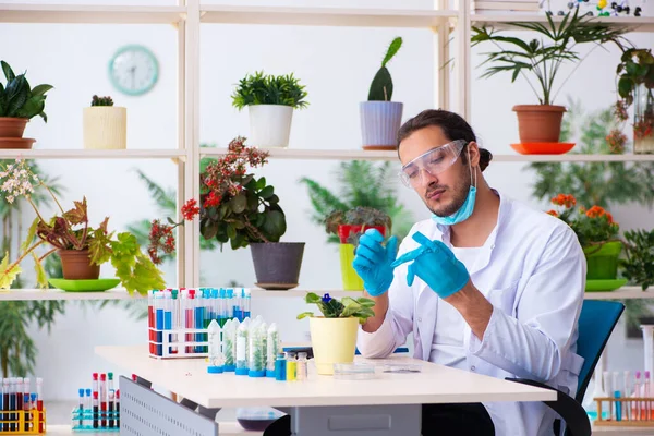 Jeune homme chimiste parfumeur travaillant dans le laboratoire — Photo