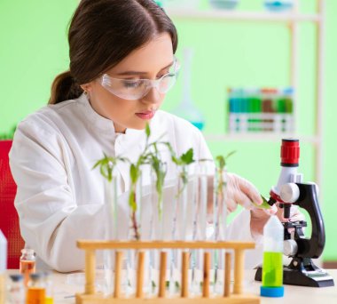 Güzel kadın biyoteknoloji bilim adamı kimyager laboratuarda çalışıyor.