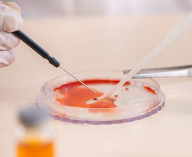 Laboratuvarda yeni bir deney üzerinde çalışan kimyager.