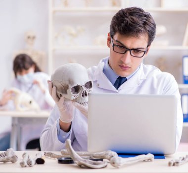 Profesör laboratuvarda insan iskeletini inceliyor.