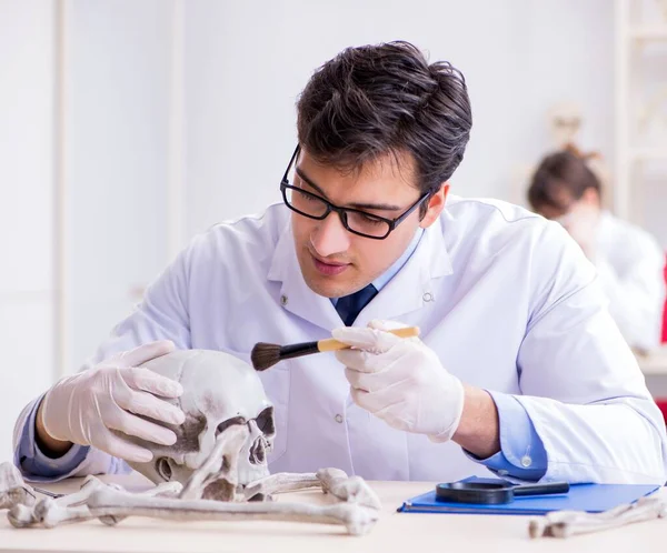 Profesor studující lidskou kostru v laboratoři — Stock fotografie