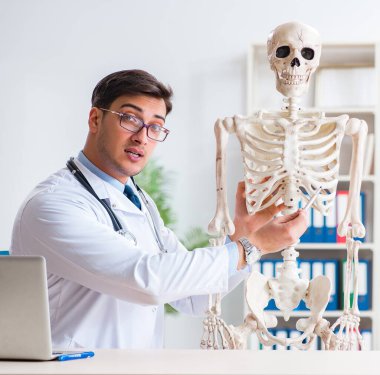 İskeleti beyaz olan Yong erkek doktoru.