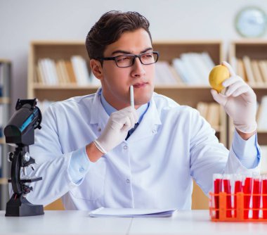 Bilim adamı organik meyve ve sebzeler üzerinde çalışıyor.