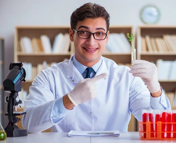 Cientista de biotecnologia trabalhando no laboratório — Fotografia de Stock