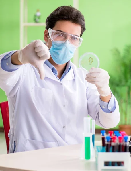 Man chemist working in the lab — Stock Photo, Image