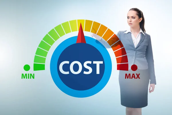 Empresaria en concepto de gestión de costes —  Fotos de Stock