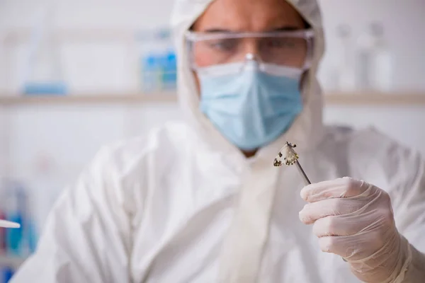 Joven químico zoólogo trabajando en el laboratorio durante una pandemia — Foto de Stock