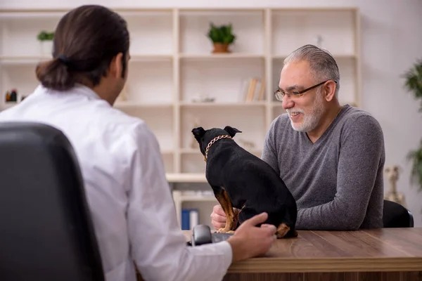 Молодий чоловік лікар ветеринар оглядає собаку в клініці — стокове фото