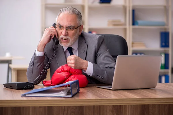 Viejo empleado de negocios con guantes de boxeo en el lugar de trabajo — Foto de Stock