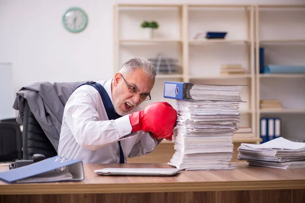 Viejo empleado de negocios con guantes de boxeo en el lugar de trabajo —  Fotos de Stock