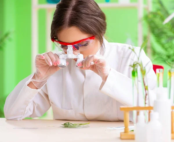 Gyönyörű női biotechnológia tudós vegyész dolgozik laborban — Stock Fotó