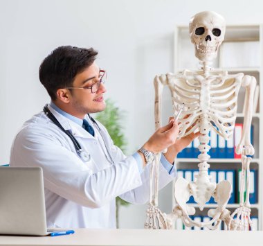 İskeleti beyaz olan Yong erkek doktoru.