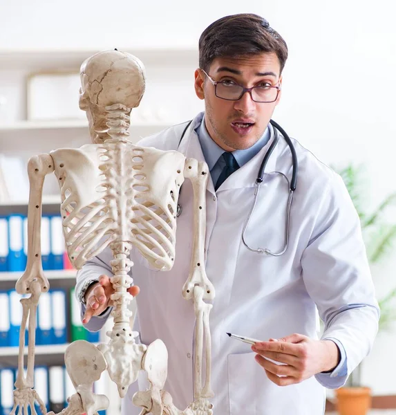 Yong médico masculino com esqueleto isolado em branco — Fotografia de Stock