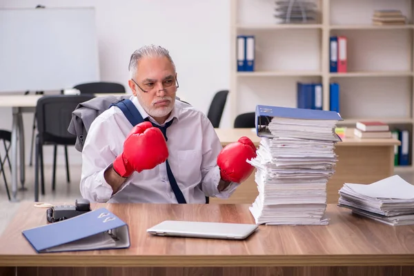Starý podnikatel zaměstnanec nosí boxerské rukavice na pracovišti — Stock fotografie