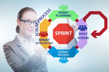 Çevik süreç kargaşası metodunda iş kadını