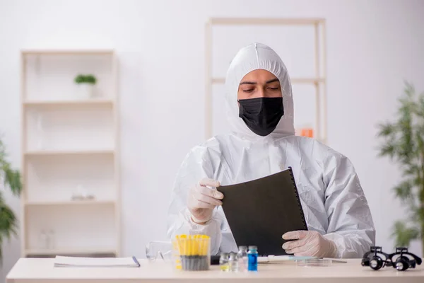 Jovem químico do sexo masculino que trabalha no laboratório durante a pandemia — Fotografia de Stock