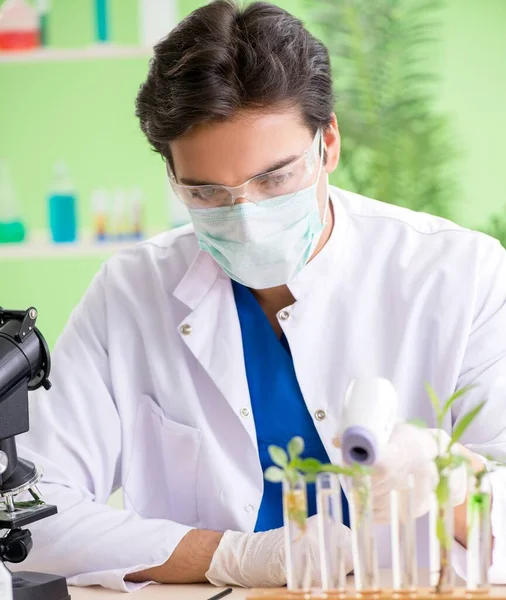 Joven biotecnólogo químico trabajando en laboratorio —  Fotos de Stock