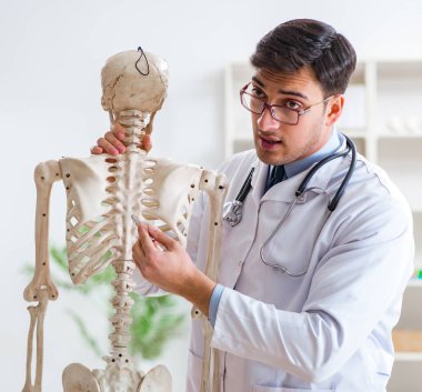İskeleti beyaz olan Yong erkek doktoru.