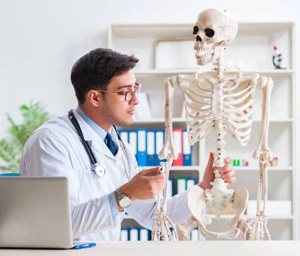 Yong médico masculino con esqueleto aislado en blanco — Foto de Stock