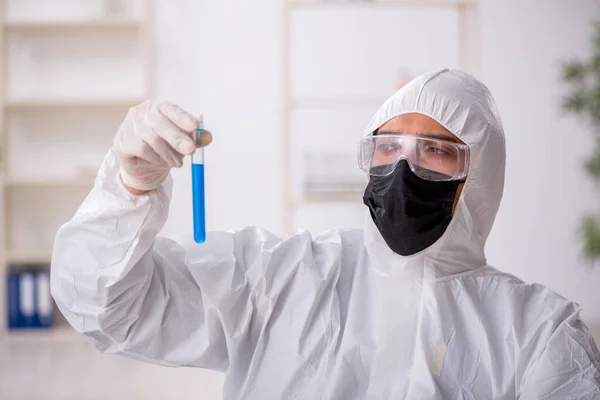 Mladý chemik pracující v laboratoři během pandemie — Stock fotografie
