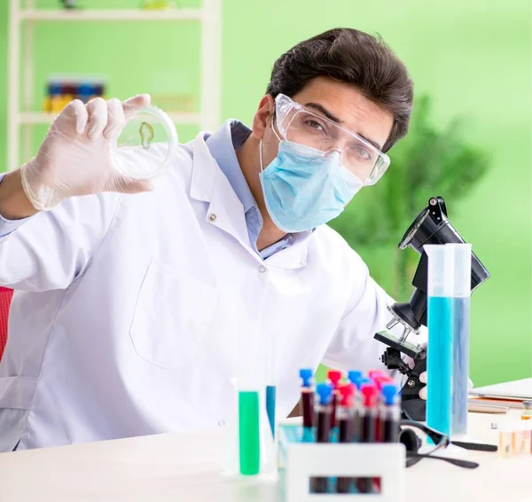 Chimico uomo che lavora in laboratorio — Foto Stock