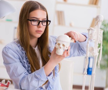 Öğrenci sınıfında oturuyor ve iskelet çalışıyor.