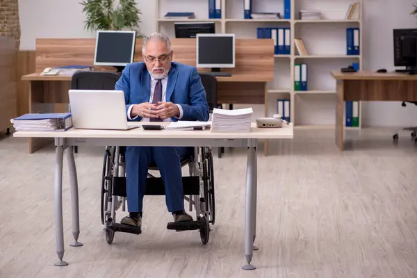 Alter Geschäftsmann im Rollstuhl bei der Arbeit im Büro — Stockfoto