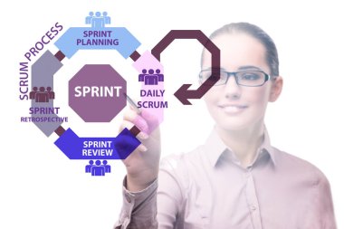 Çevik süreç kargaşası metodunda iş kadını