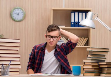 Okul sınavlarına hazırlanan genç bir öğrenci.