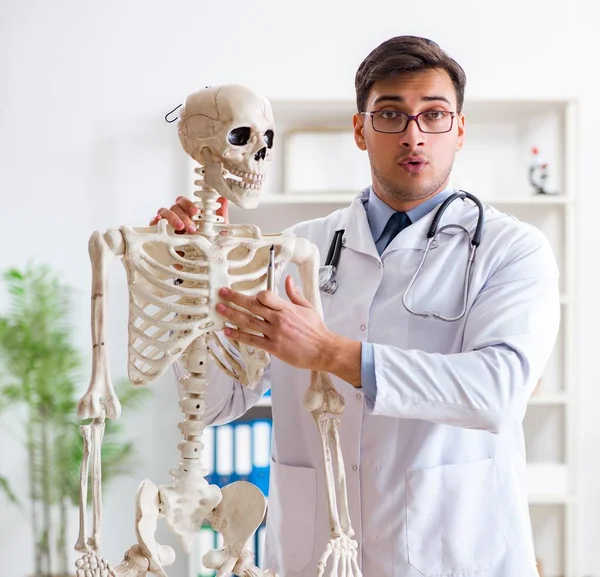 Yong male doctor with skeleton isolated on white — Stock Photo, Image