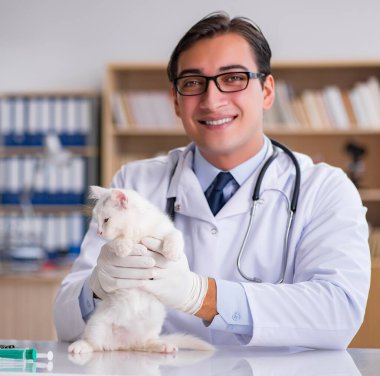 Beyaz yavru kedi kadar onay için veteriner ziyaret