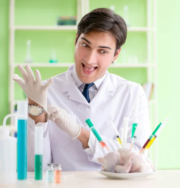 Lab assistant testing GMO chicken — Stock Photo, Image