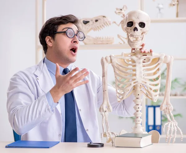 Profesor loco estudiando esqueleto humano —  Fotos de Stock