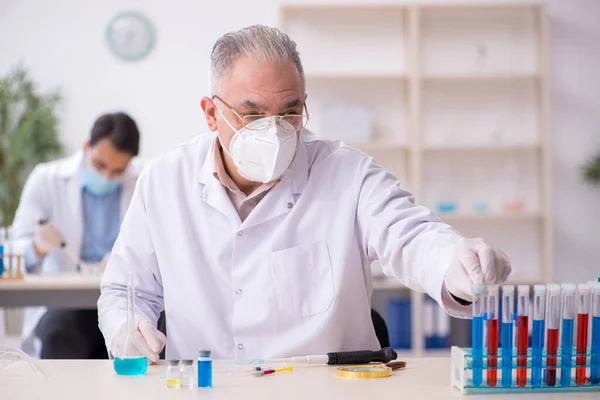 Dva chemici pracující v laboratoři během pandemie — Stock fotografie