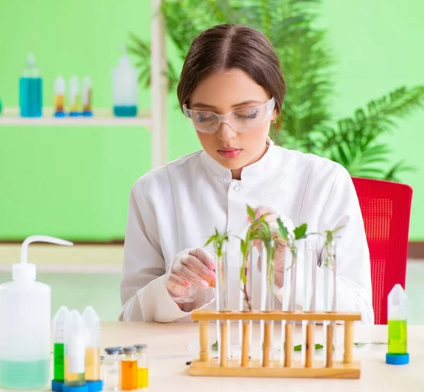 Bela mulher biotecnologia cientista químico trabalhando em laboratório — Fotografia de Stock